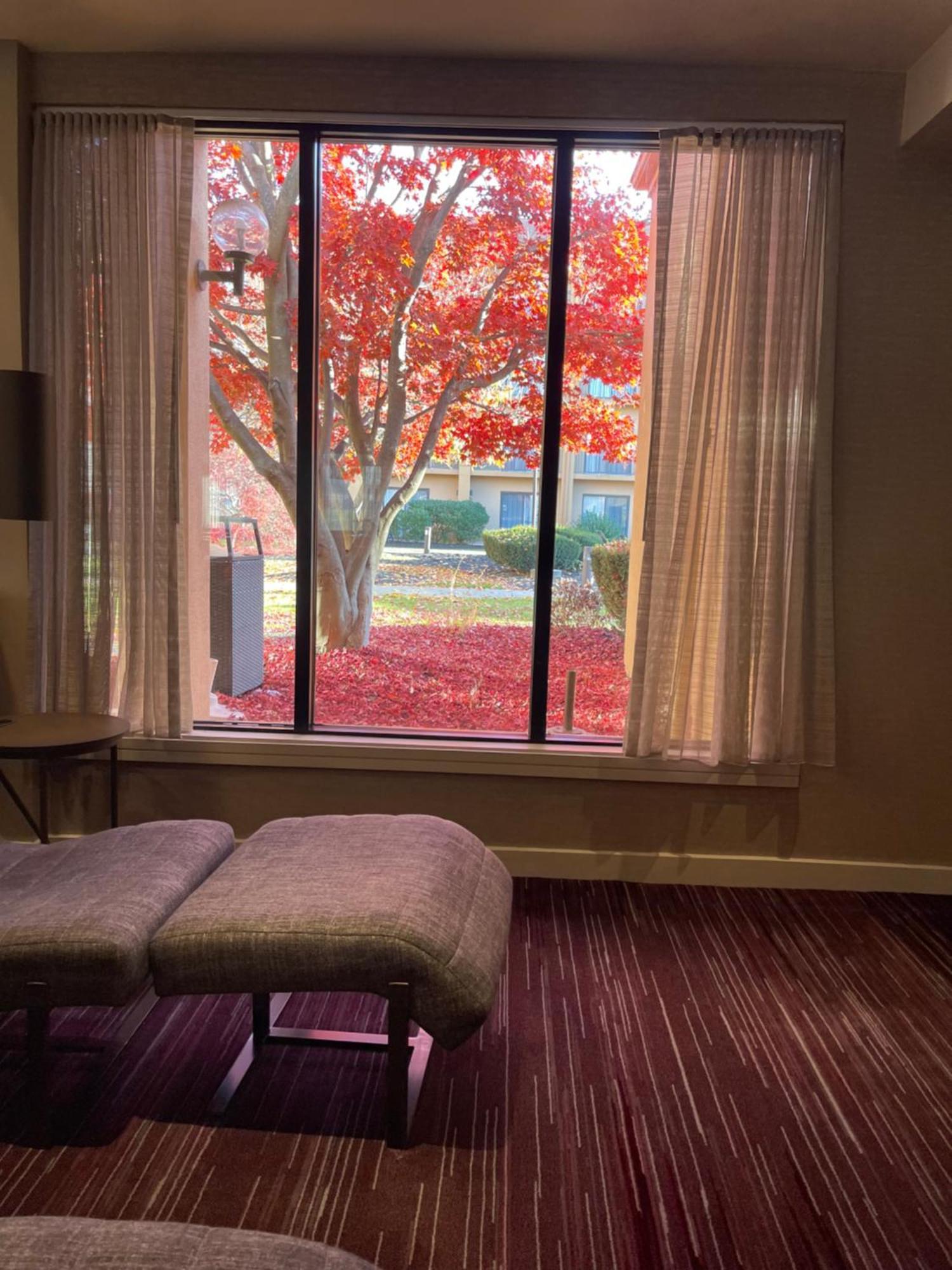 Courtyard By Marriott Hotel 3*