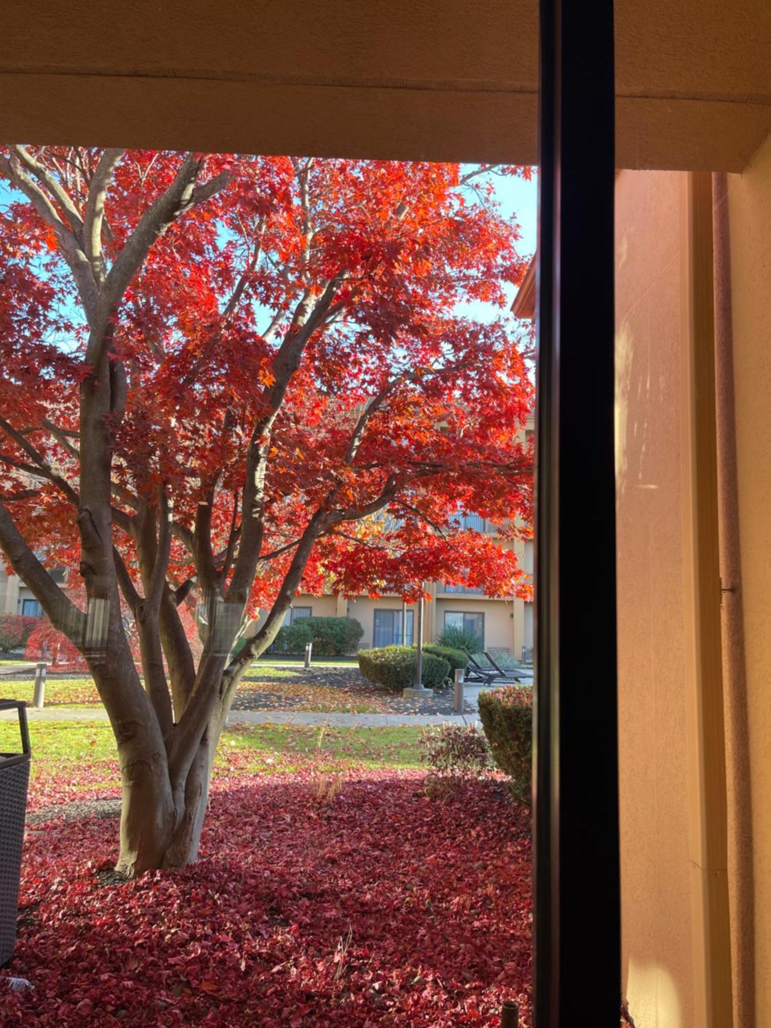 Hotel Courtyard By Marriott 3*