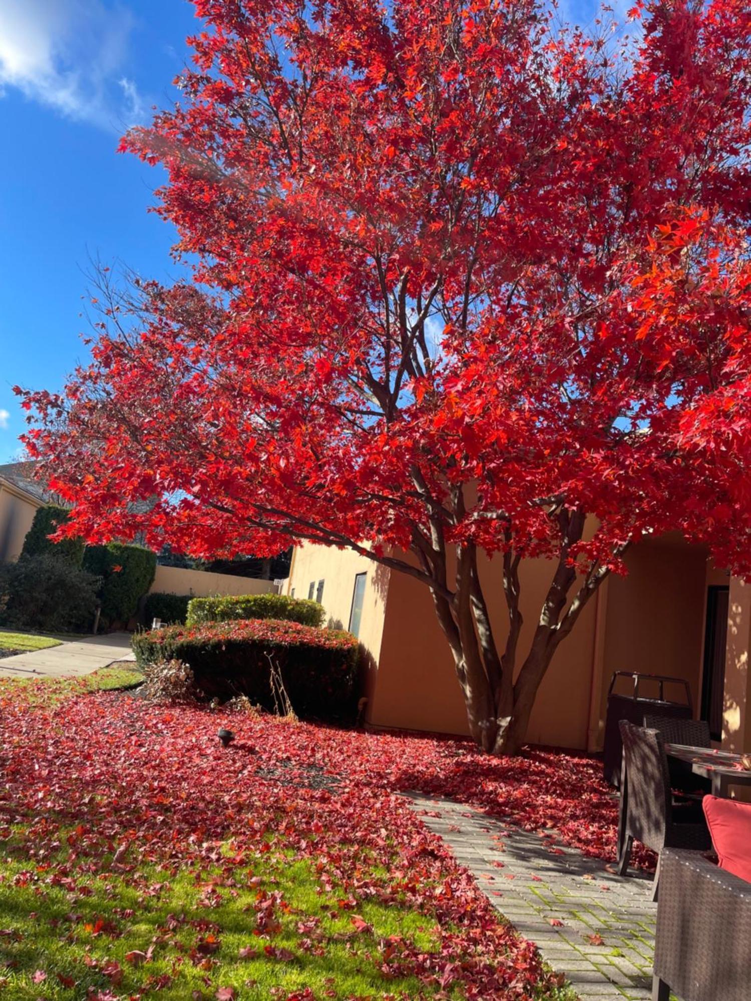 Hotel Courtyard By Marriott Fishkill