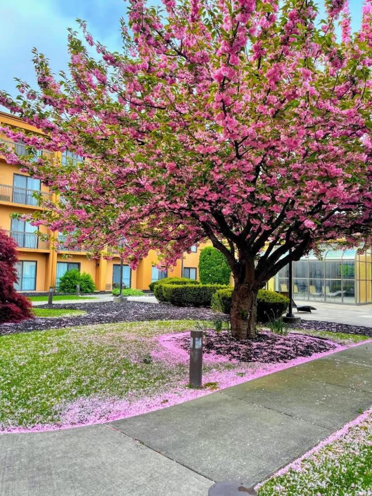 Hotel Courtyard By Marriott 3*
